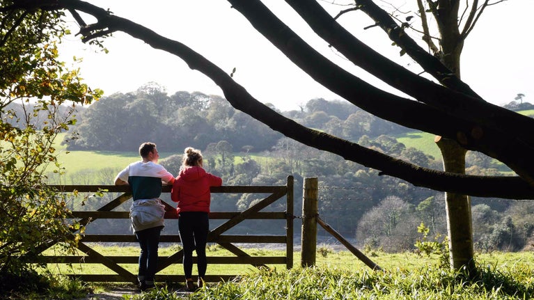 Two visitors lean on a gate looking out over the parkland at Trelissick, Cornwall
